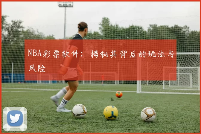 NBA彩票软件：揭秘其背后的玩法与风险